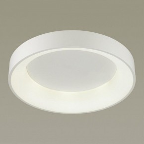Накладной светильник Odeon Light Sole 4062/50CL в Кунгуре - kungur.mebel24.online | фото 2