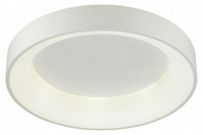 Накладной светильник Odeon Light Sole 4062/50CL в Кунгуре - kungur.mebel24.online | фото 3