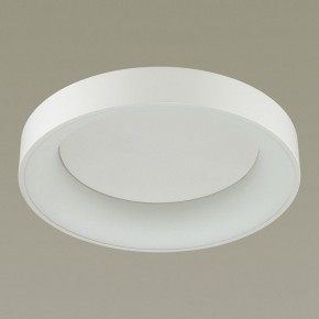 Накладной светильник Odeon Light Sole 4062/50CL в Кунгуре - kungur.mebel24.online | фото 4