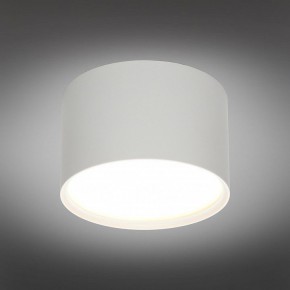 Накладной светильник Omnilux Abano OML-103309-06 в Кунгуре - kungur.mebel24.online | фото 2