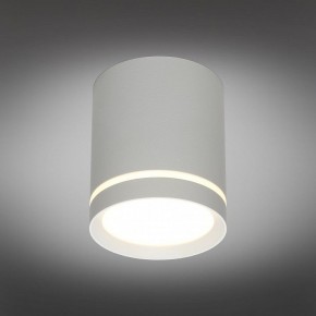 Накладной светильник Omnilux Capurso OML-102429-05 в Кунгуре - kungur.mebel24.online | фото 2