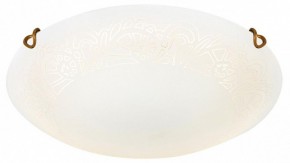 Накладной светильник Sonex Ammonite 7602/DL в Кунгуре - kungur.mebel24.online | фото 3