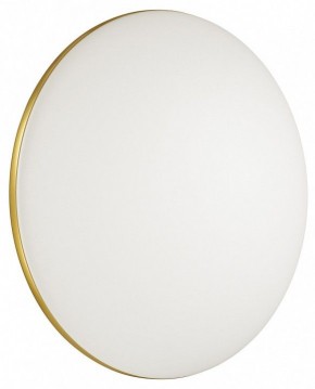 Накладной светильник Sonex Lassa 3043/DL в Кунгуре - kungur.mebel24.online | фото 4