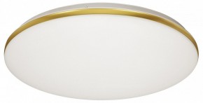 Накладной светильник Sonex Lassa 3043/DL в Кунгуре - kungur.mebel24.online | фото 5