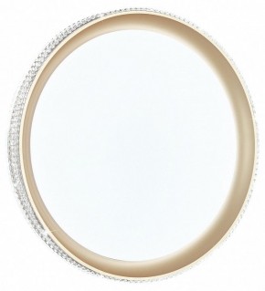 Накладной светильник Sonex Shiny 3054/EL в Кунгуре - kungur.mebel24.online | фото 2