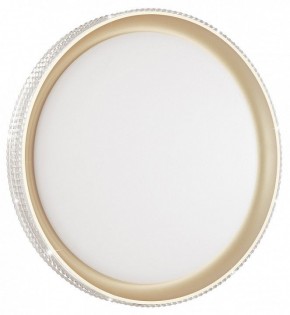 Накладной светильник Sonex Shiny 3054/EL в Кунгуре - kungur.mebel24.online | фото 3