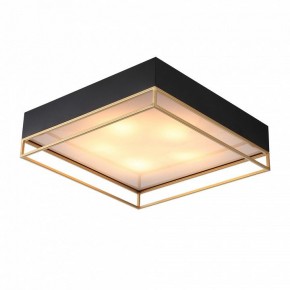 Накладной светильник ST-Luce Chodo SL1127.422.05 в Кунгуре - kungur.mebel24.online | фото 2