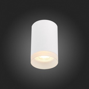 Накладной светильник ST-Luce ST100 ST100.502.01 в Кунгуре - kungur.mebel24.online | фото 4