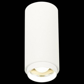 Накладной светильник ST-Luce Zoom ST600.542.10 в Кунгуре - kungur.mebel24.online | фото 3
