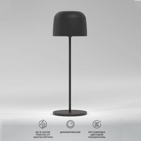 Настольная лампа декоративная Elektrostandard Bitty a069002 в Кунгуре - kungur.mebel24.online | фото 2