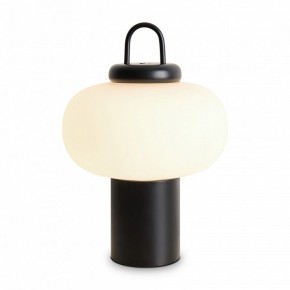 Настольная лампа декоративная Freya Take FR6175TL-L10B в Кунгуре - kungur.mebel24.online | фото