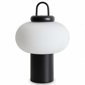 Настольная лампа декоративная Freya Take FR6175TL-L10B в Кунгуре - kungur.mebel24.online | фото 2