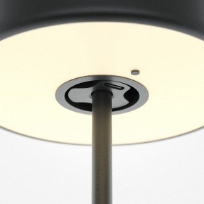 Настольная лампа декоративная Maytoni AI Collaboration MOD229TL-L3B3K2 в Кунгуре - kungur.mebel24.online | фото 5
