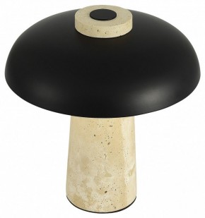 Настольная лампа декоративная ST-Luce Earthy SL1194.424.01 в Кунгуре - kungur.mebel24.online | фото 5