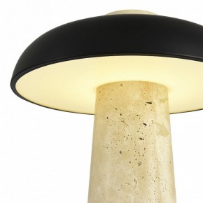 Настольная лампа декоративная ST-Luce Earthy SL1194.424.01 в Кунгуре - kungur.mebel24.online | фото 6