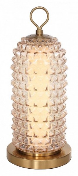 Настольная лампа декоративная ST-Luce SAGUARO SL6144.304.01 в Кунгуре - kungur.mebel24.online | фото 2