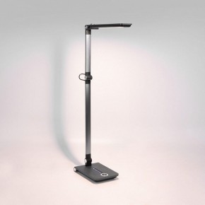 Настольная лампа офисная Elektrostandard Great a065290 в Кунгуре - kungur.mebel24.online | фото 3