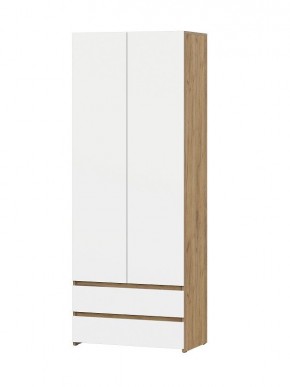 НЕКСТ 1 Шкаф двухстворчатый с ящиками в Кунгуре - kungur.mebel24.online | фото