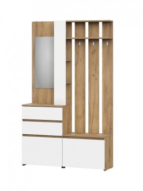 НЕКСТ 1 Вешалка с зеркалом + Шкаф 2-х ств. с ящиками в Кунгуре - kungur.mebel24.online | фото 4