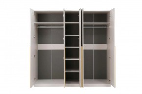 НИКОЛЬ 25 Шкаф 5-ти створчатый в Кунгуре - kungur.mebel24.online | фото 3