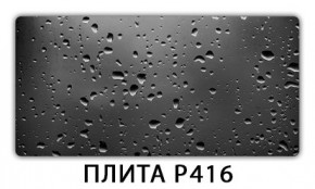 Обеденный стол Паук с фотопечатью узор Доска D111 в Кунгуре - kungur.mebel24.online | фото 12