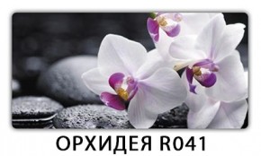 Обеденный стол Паук с фотопечатью узор Доска D111 в Кунгуре - kungur.mebel24.online | фото 21