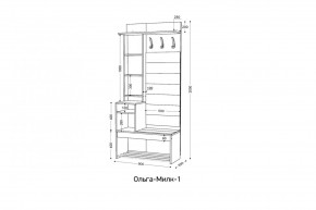 ОЛЬГА-МИЛК Прихожая (модульная) в Кунгуре - kungur.mebel24.online | фото 2