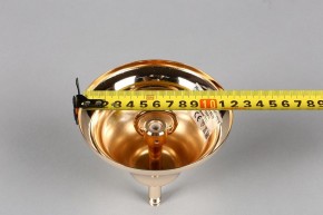 Подвесная люстра Aployt Daniele APL.701.03.12 в Кунгуре - kungur.mebel24.online | фото 6