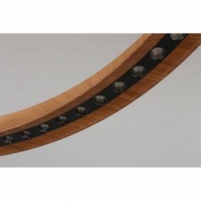 Подвесная люстра Aployt Justyna APL.787.03.75 в Кунгуре - kungur.mebel24.online | фото 10