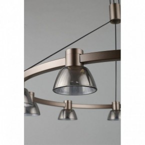 Подвесная люстра Aployt Rezeda APL.788.03.09 в Кунгуре - kungur.mebel24.online | фото 14