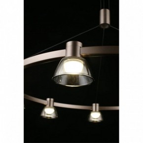 Подвесная люстра Aployt Rezeda APL.788.03.09 в Кунгуре - kungur.mebel24.online | фото 15