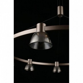 Подвесная люстра Aployt Rezeda APL.788.03.09 в Кунгуре - kungur.mebel24.online | фото 16