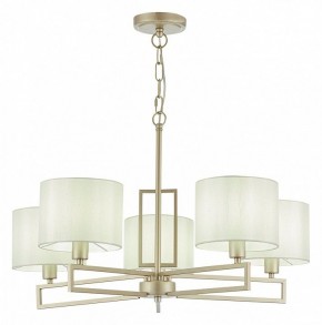 Подвесная люстра EVOLUCE Danae SLE105803-05 в Кунгуре - kungur.mebel24.online | фото 2