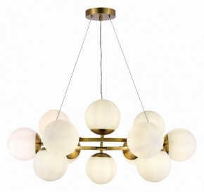 Подвесная люстра EVOLUCE Fratta SLE1191-203-12 в Кунгуре - kungur.mebel24.online | фото 3