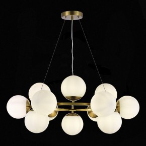 Подвесная люстра EVOLUCE Fratta SLE1191-203-12 в Кунгуре - kungur.mebel24.online | фото 4