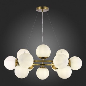 Подвесная люстра EVOLUCE Fratta SLE1191-203-12 в Кунгуре - kungur.mebel24.online | фото 5