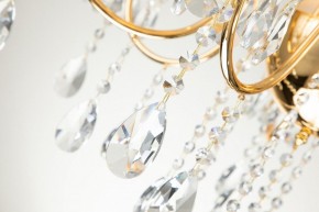 Подвесная люстра Favourite Cutie 2868-7P в Кунгуре - kungur.mebel24.online | фото 6