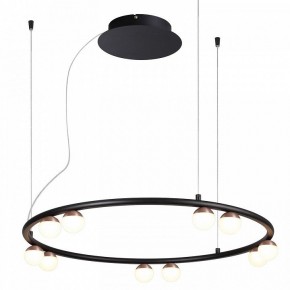 Подвесная люстра Favourite Knopp 4320-10P в Кунгуре - kungur.mebel24.online | фото 2