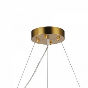 Подвесная люстра Favourite Magnitudo 2206-12P в Кунгуре - kungur.mebel24.online | фото 7