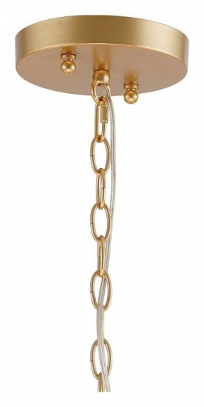 Подвесная люстра Favourite Mateo 2634-8P в Кунгуре - kungur.mebel24.online | фото 12