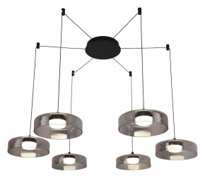 Подвесная люстра Favourite Platta 4490-6P в Кунгуре - kungur.mebel24.online | фото