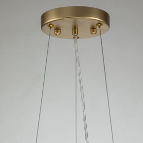 Подвесная люстра Favourite Rays 4058-14P в Кунгуре - kungur.mebel24.online | фото 11