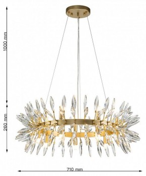 Подвесная люстра Favourite Rays 4058-14P в Кунгуре - kungur.mebel24.online | фото 7
