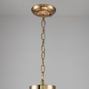 Подвесная люстра Favourite Rocca 2689-6P в Кунгуре - kungur.mebel24.online | фото 4