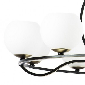 Подвесная люстра Lightstar Enna 762117 в Кунгуре - kungur.mebel24.online | фото 4