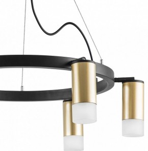 Подвесная люстра Lightstar Rullo LR0164061 в Кунгуре - kungur.mebel24.online | фото 4