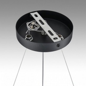 Подвесная люстра Lumion Luazana 8242/6 в Кунгуре - kungur.mebel24.online | фото 7