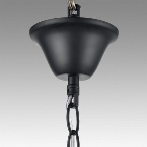Подвесная люстра Lumion Nana 8106/6 в Кунгуре - kungur.mebel24.online | фото 6