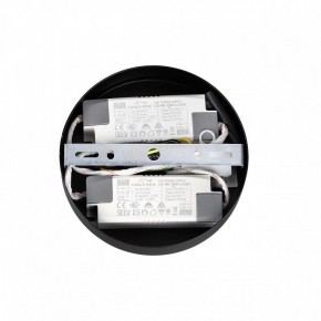 Подвесная люстра Lumion Parker 6563/60L в Кунгуре - kungur.mebel24.online | фото 6
