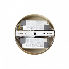 Подвесная люстра Lumion Parker 6564/60L в Кунгуре - kungur.mebel24.online | фото 6